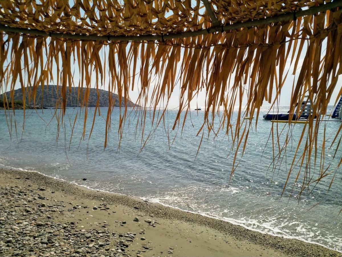 New Seafront
