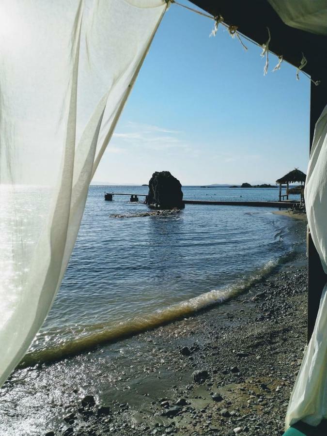 New Seafront *